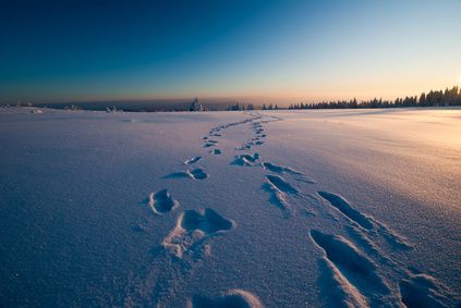 Winter, Morgenrot