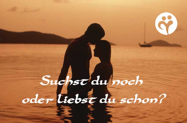 travel together